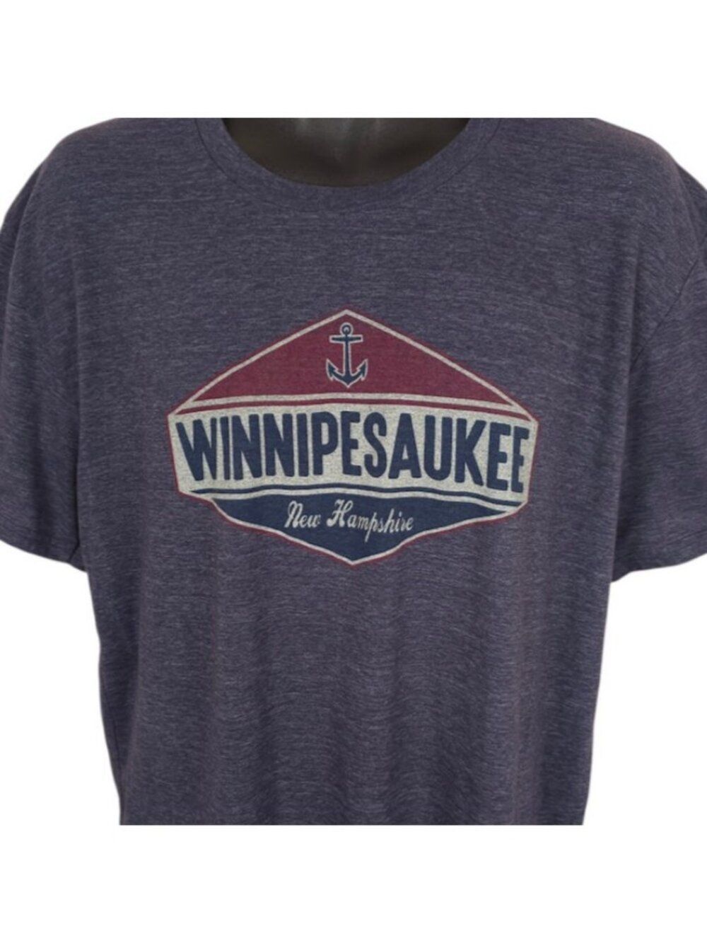 Lake Winnipesaukee T Shirt Mens Size XL Gray New Hampshire Travel Destination